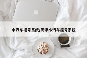 小汽车摇号系统/天津小汽车摇号系统