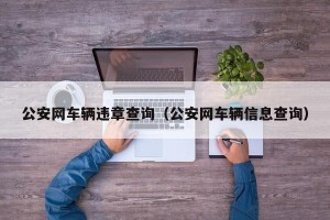 公安网车辆违章查询（公安网车辆信息查询）